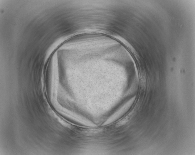 X0000075361294200609291451