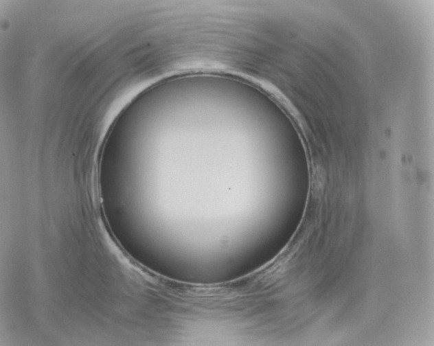 X0000075361295200609291451