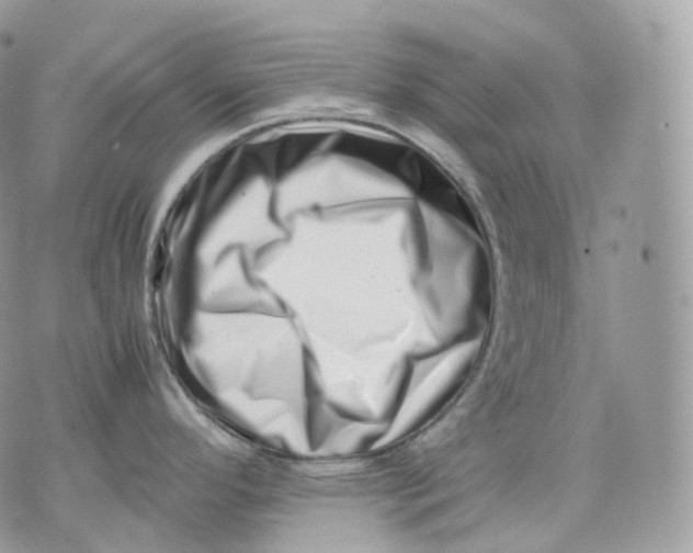 X0000075361296200609291451