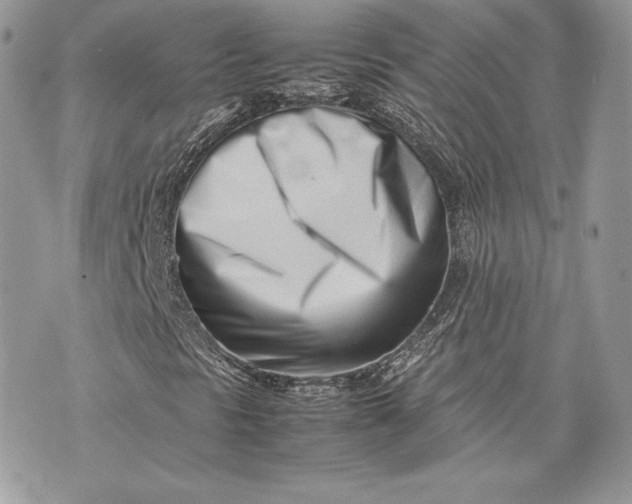 X0000075361297200609291451