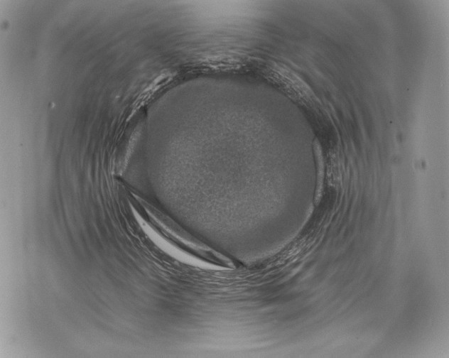 X0000075361298200609291451