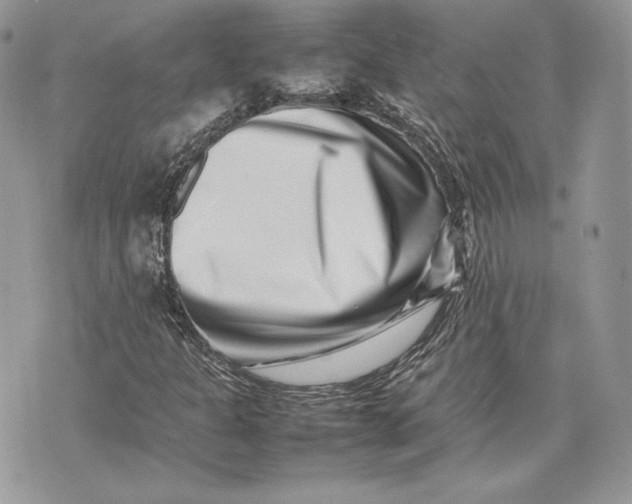 X0000075361301200609291451