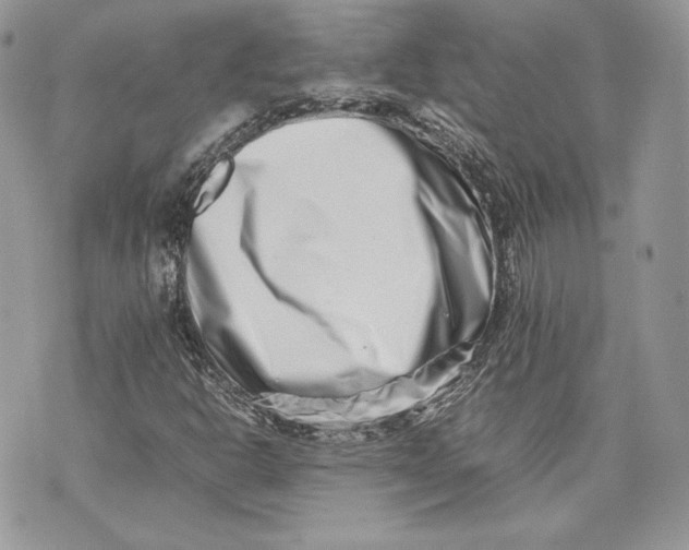 X0000075361302200609291451