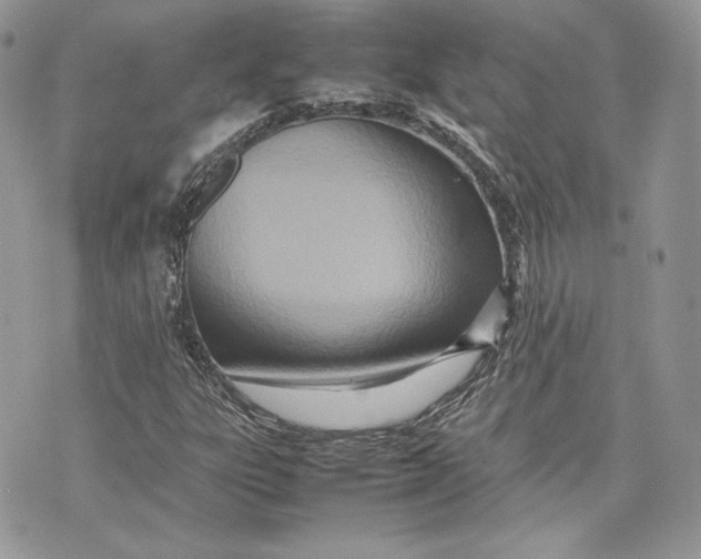 X0000075361303200609291451