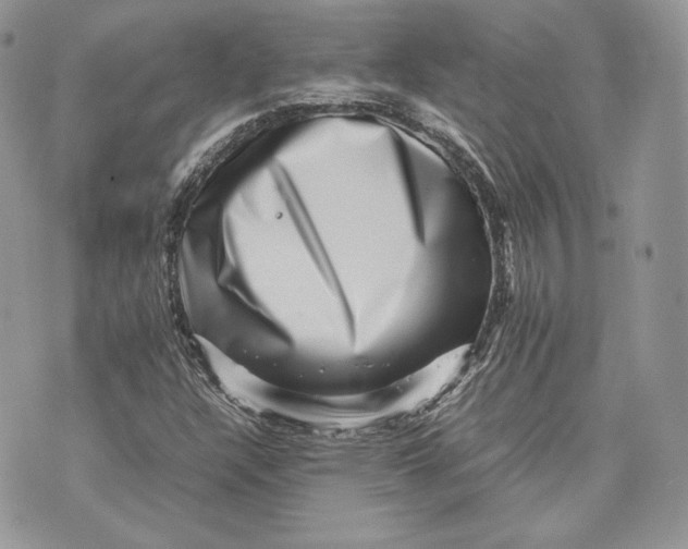 X0000075361304200609291451