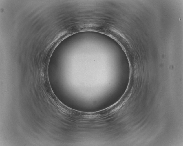 X0000075361305200609291451