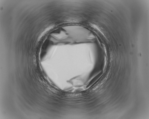 X0000075361307200609291451