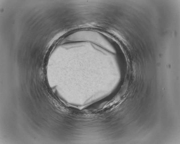 X0000075361308200609291451