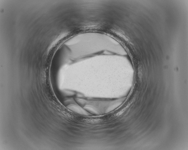 X0000075361309200609291451