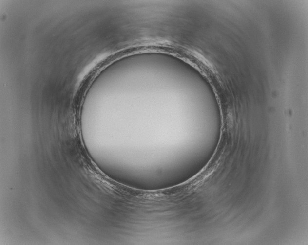 X0000075361310200609291451