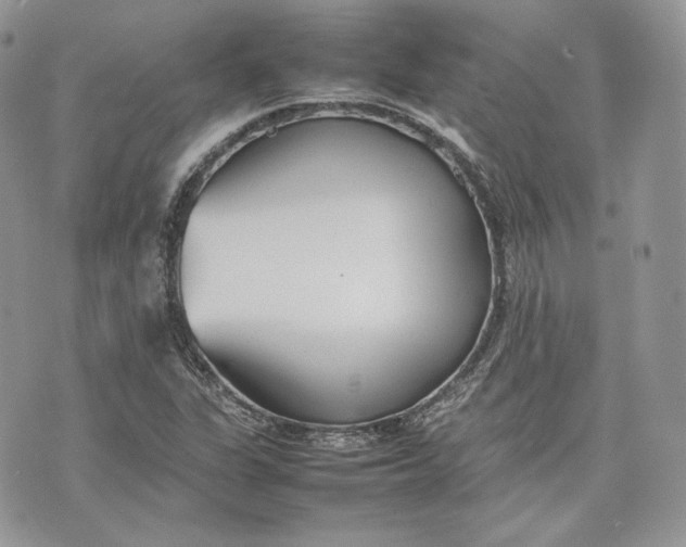 X0000075361311200609291451