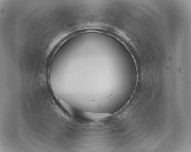 X0000075361312200609291451