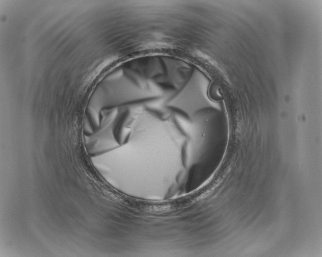 X0000075361313200609291451