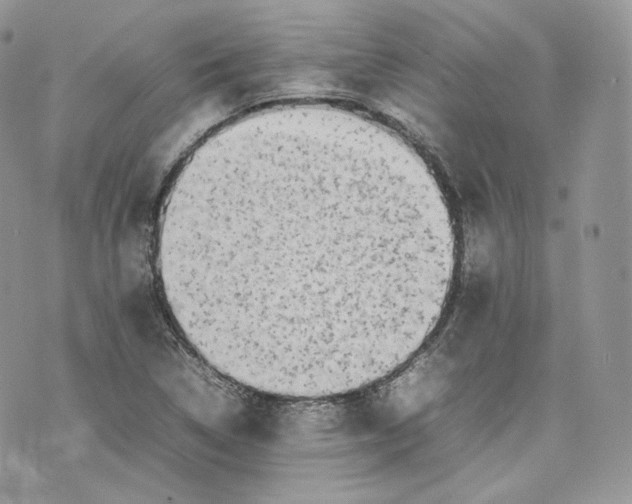 X0000075361314200609291451