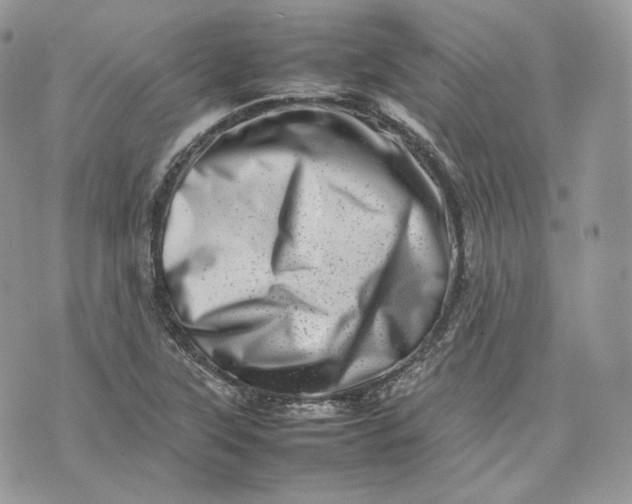 X0000075361315200609291451