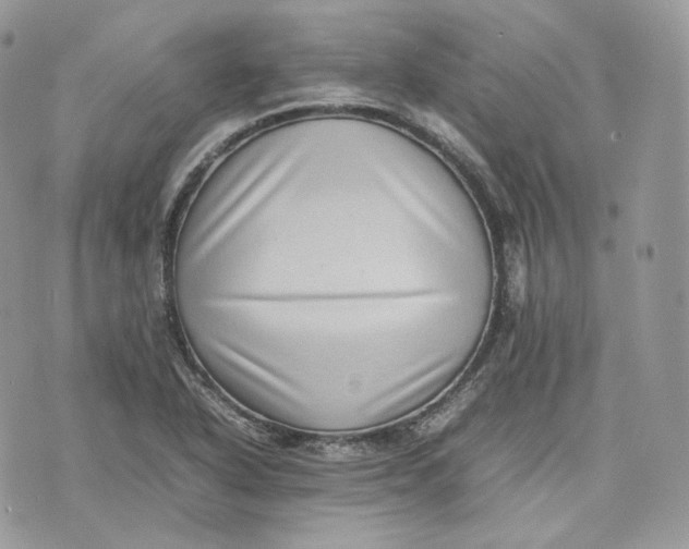 X0000075361318200609291451