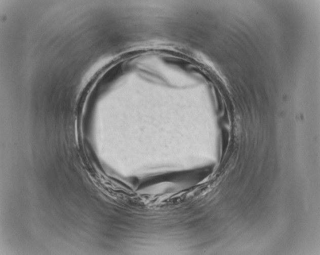 X0000075361320200609291451