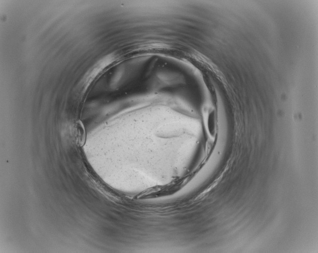 X0000075361321200609291451