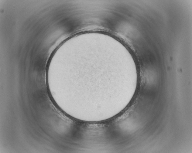 X0000075361322200609291451