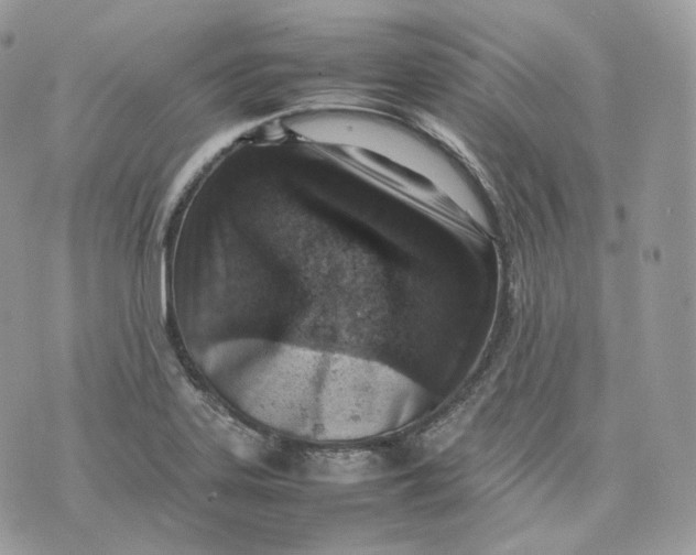 X0000075361323200609291451