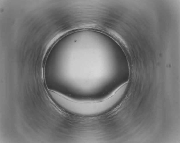 X0000075361324200609291451