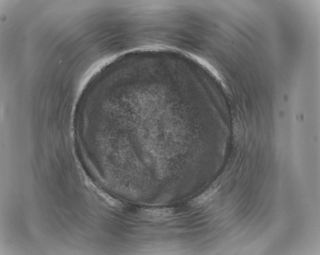 X0000075361327200609291451