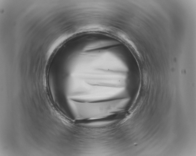 X0000075361328200609291451