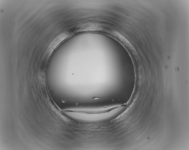 X0000075361329200609291451