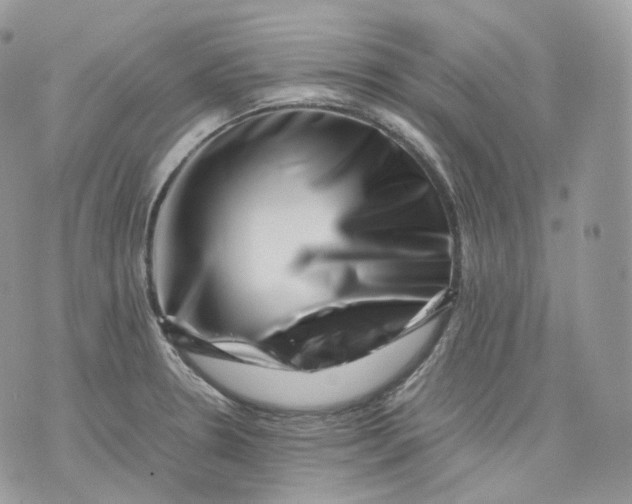 X0000075361330200609291451