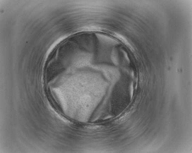 X0000075361331200609291451