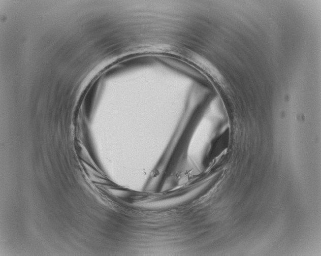 X0000075361332200609291451