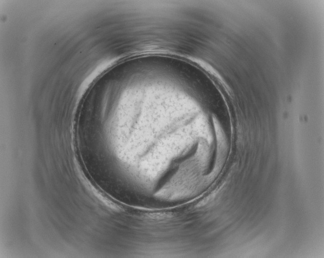 X0000075361333200609291451