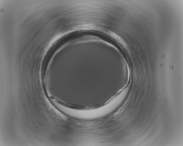 X0000075361334200609291451