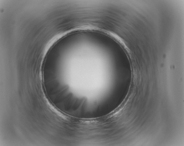 X0000075361335200609291451