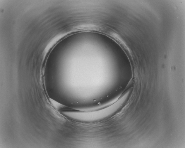 X0000075361336200609291451