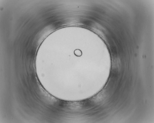 X0000075361338200609291451