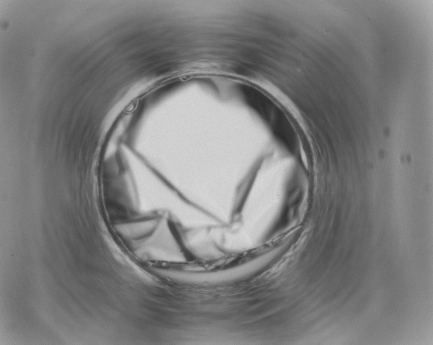 X0000075361341200609291451