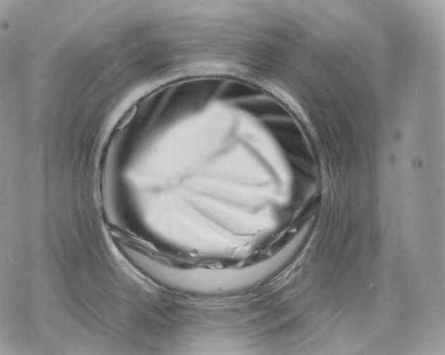 X0000075361342200609291451