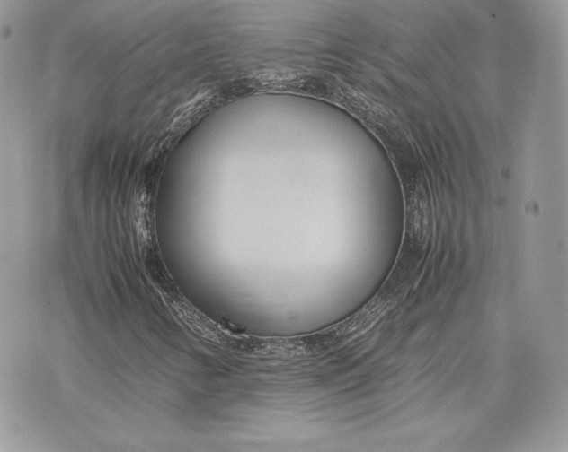 X0000075361346200609291451