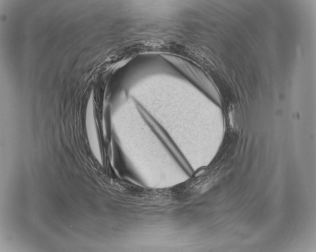 X0000075361347200609291451