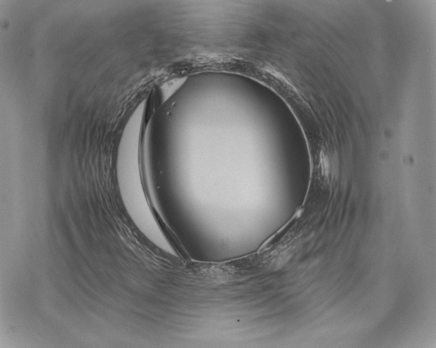 X0000075361348200609291450