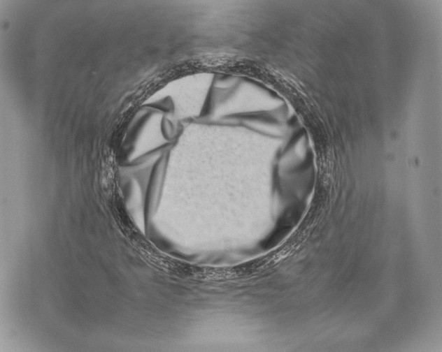 X0000075361349200609291450