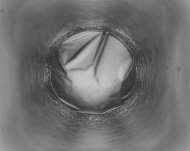 X0000075361350200609291450