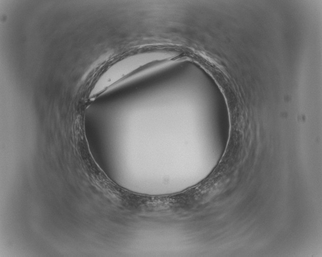 X0000075361351200609291450