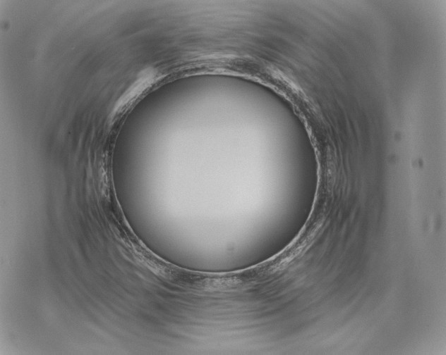 X0000075361354200609291450