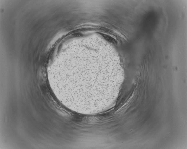 X0000075361355200609291450