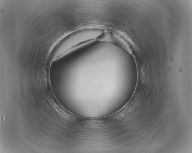 X0000075361356200609291450