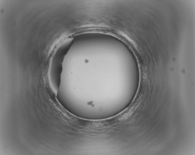 X0000075361357200609291450