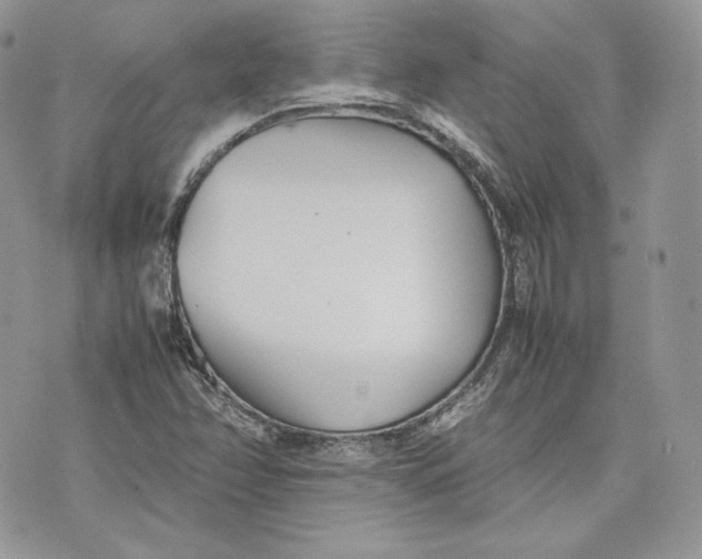 X0000075361358200609291450