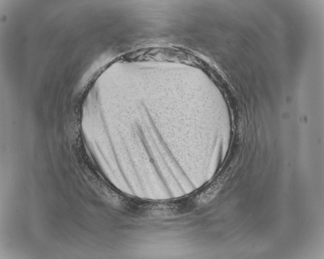 X0000075361359200609291450